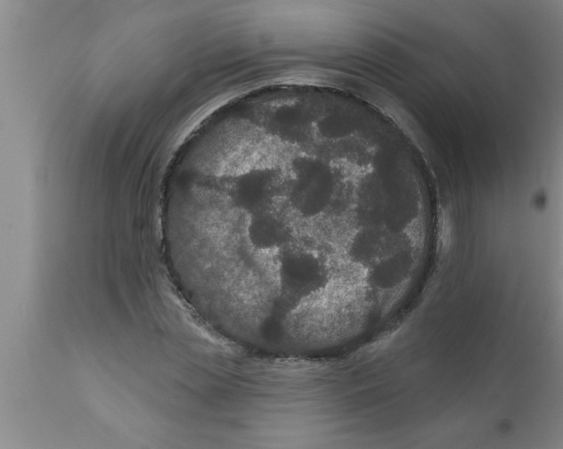 X0000111160829200907211225