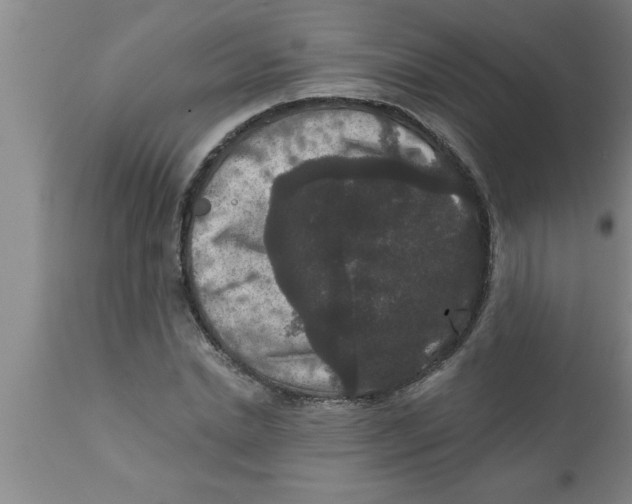 X0000111160830200907211225