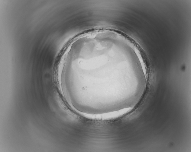 X0000111160832200907211225