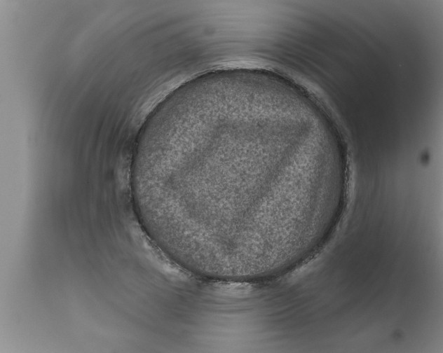 X0000111160833200907211225