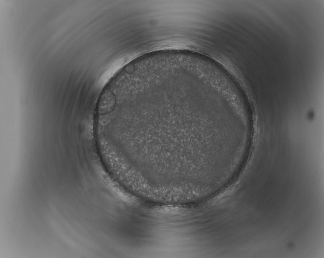 X0000111160834200907211225