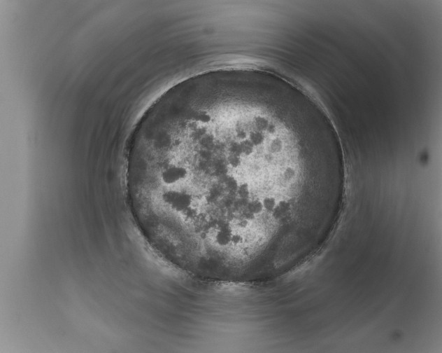 X0000111160835200907211225