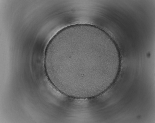 X0000111160836200907211225