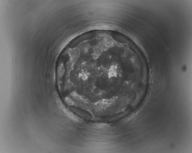 X0000111160837200907211225