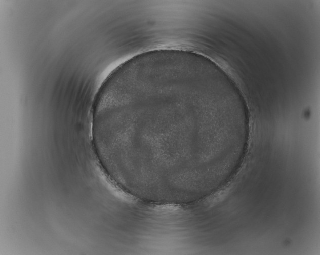 X0000111160838200907211225