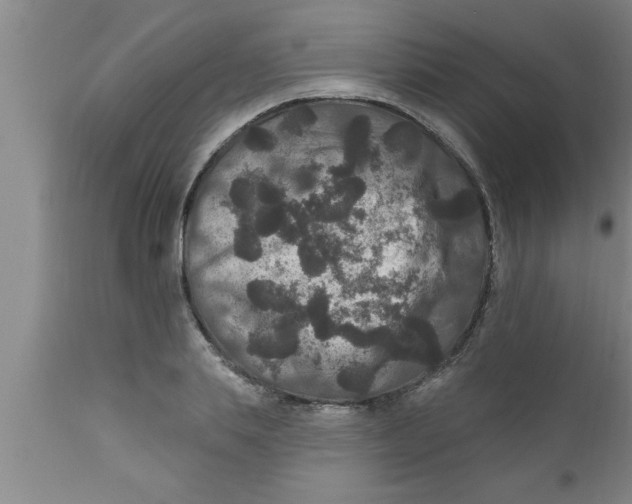 X0000111160839200907211225