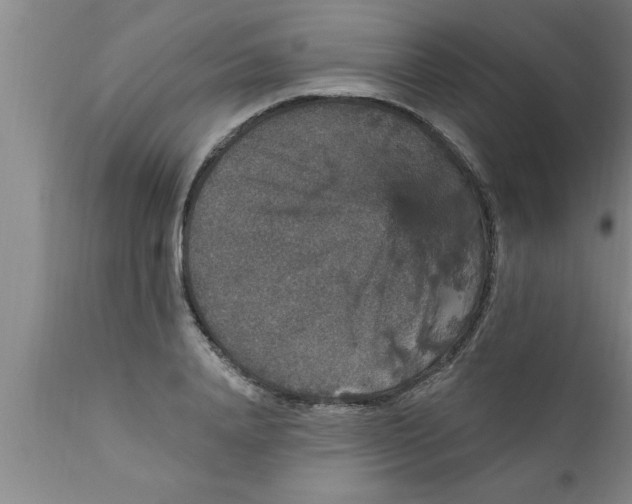 X0000111160840200907211225