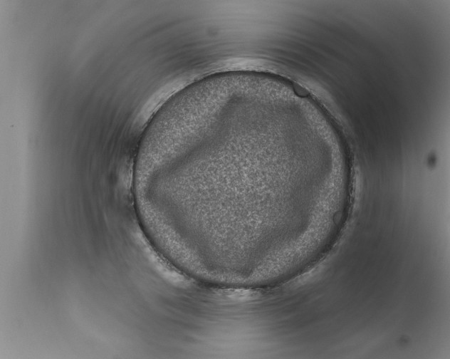 X0000111160841200907211225