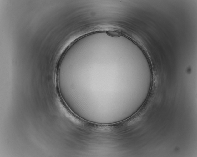 X0000111160843200907211225