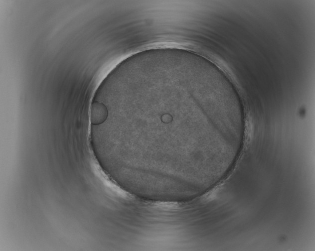 X0000111160844200907211225