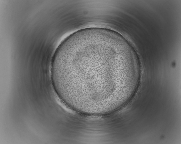 X0000111160846200907211225