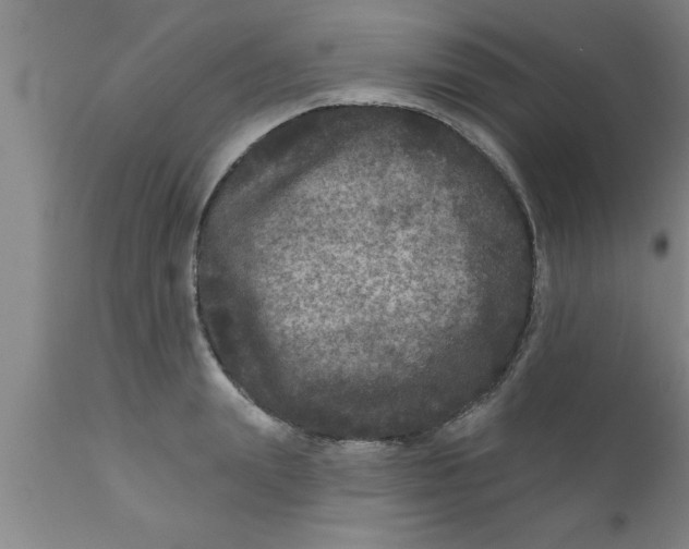 X0000111160847200907211225