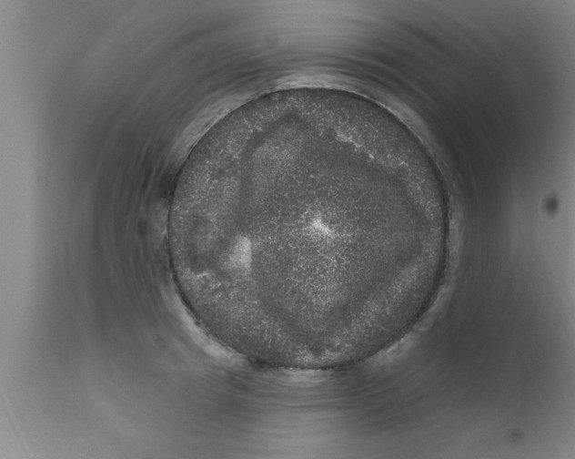 X0000111160849200907211225