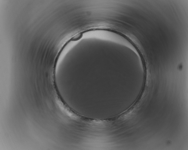 X0000111160850200907211225