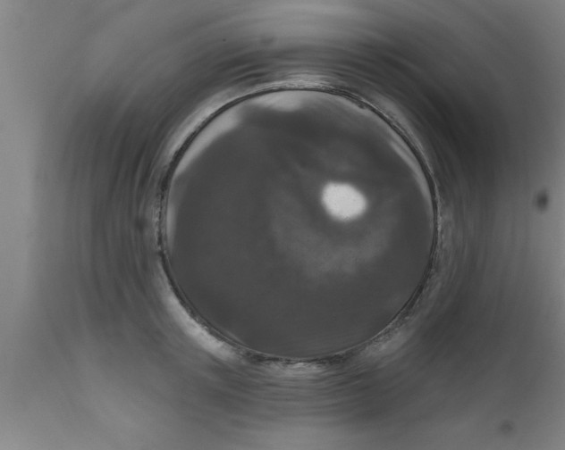 X0000111160851200907211225