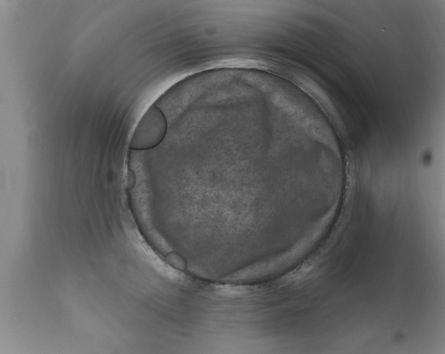 X0000111160852200907211225