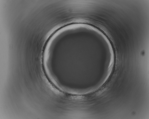 X0000111160853200907211225