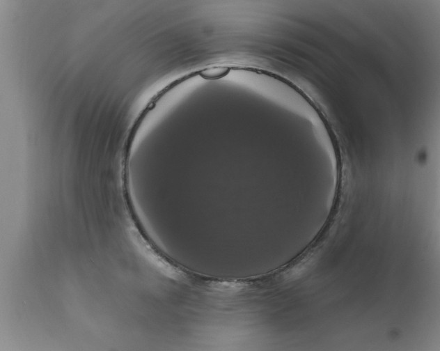 X0000111160854200907211225