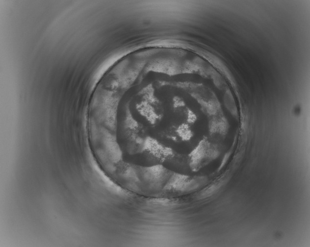 X0000111160855200907211225