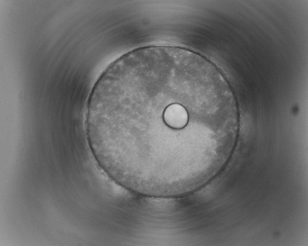 X0000111160856200907211225