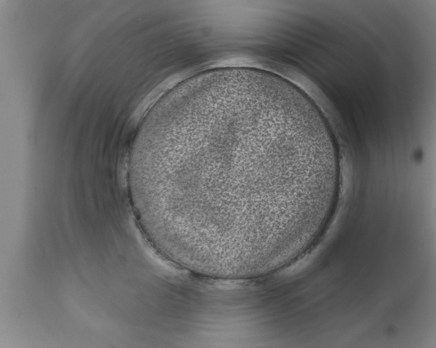 X0000111160857200907211225