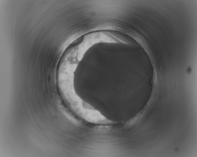 X0000111160858200907211225