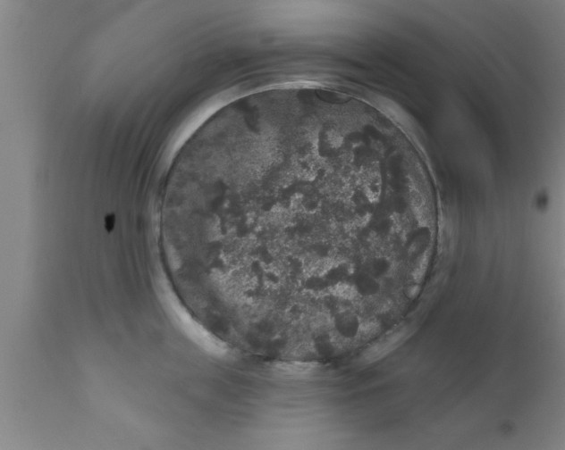 X0000111160859200907211225