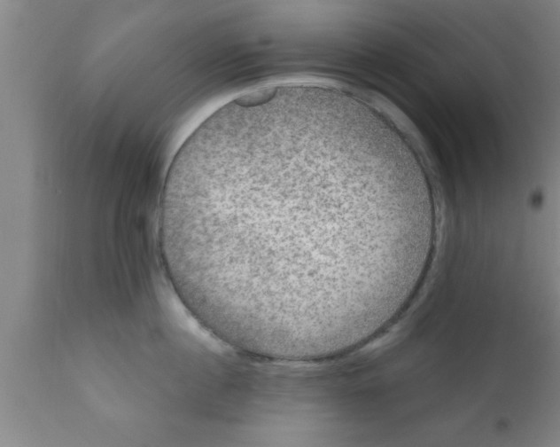 X0000111160860200907211225