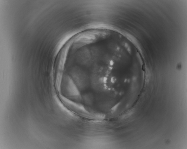 X0000111160863200907211225