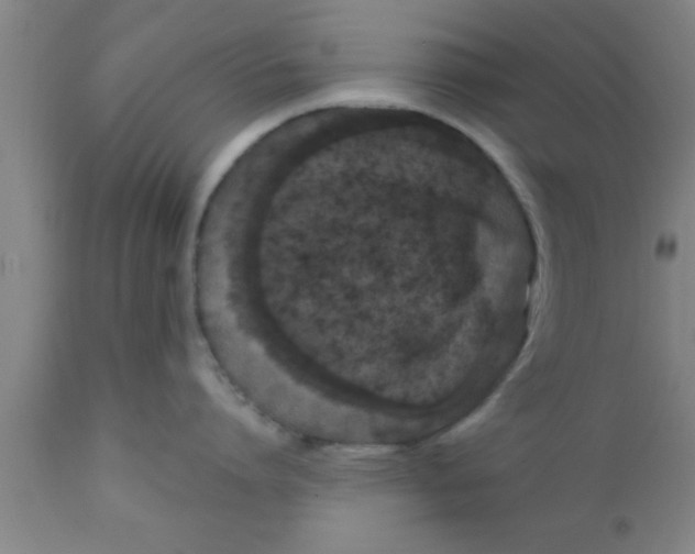 X0000111160864200907211225