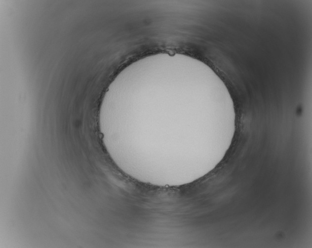 X0000111160865200907211225