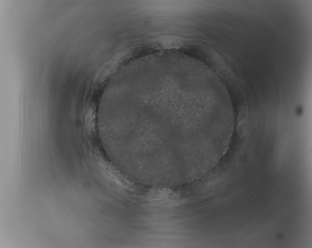 X0000111160866200907211225