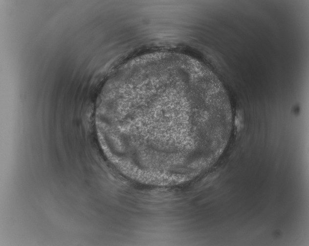 X0000111160867200907211225