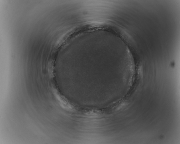 X0000111160868200907211225