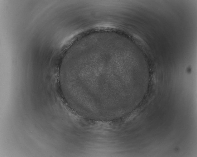 X0000111160870200907211224