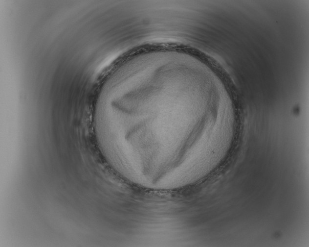 X0000111160871200907211224