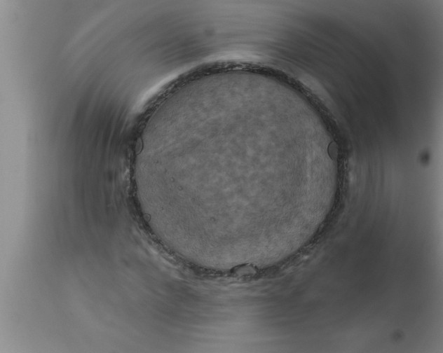 X0000111160872200907211224