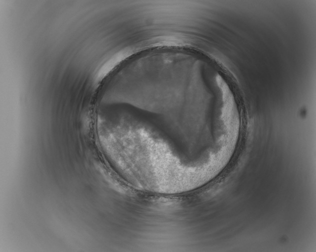 X0000111160874200907211224