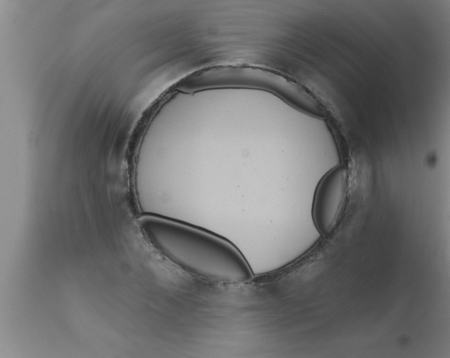 X0000111160876200907211224