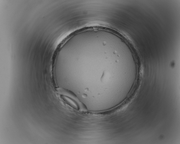 X0000111160877200907211224