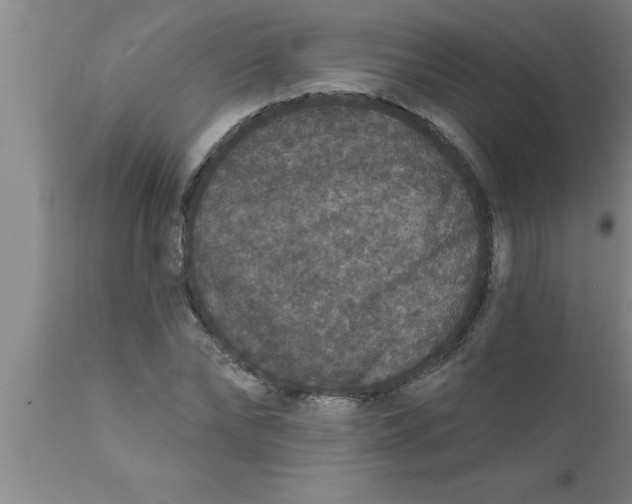 X0000111160878200907211224