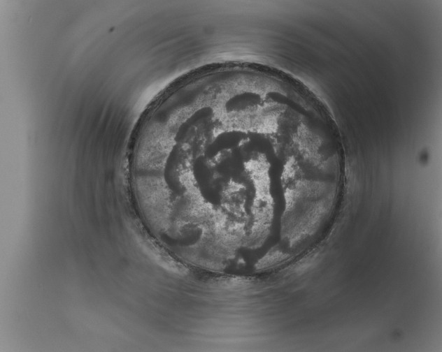 X0000111160879200907211224