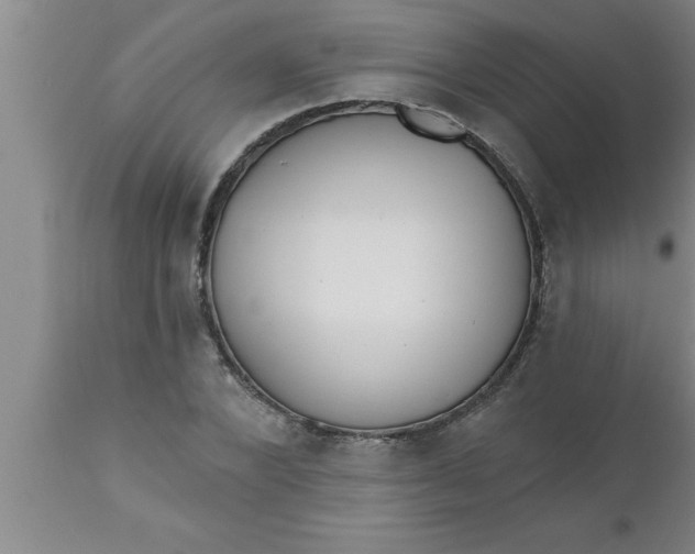 X0000111160880200907211224