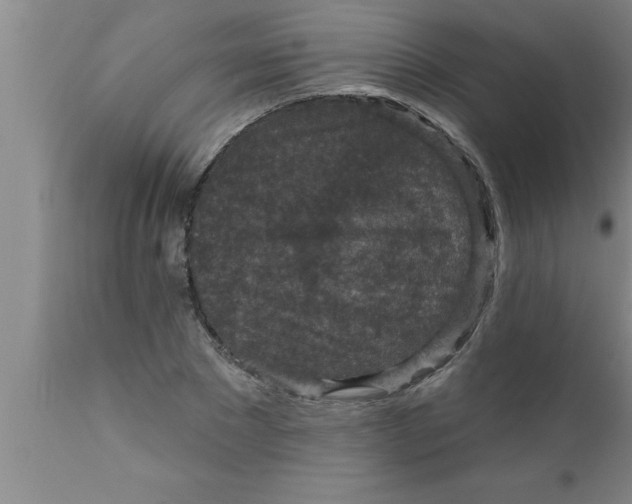 X0000111160881200907211224