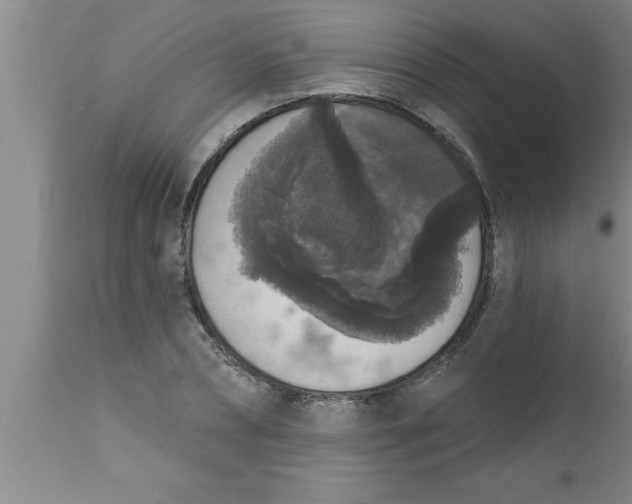 X0000111160882200907211224