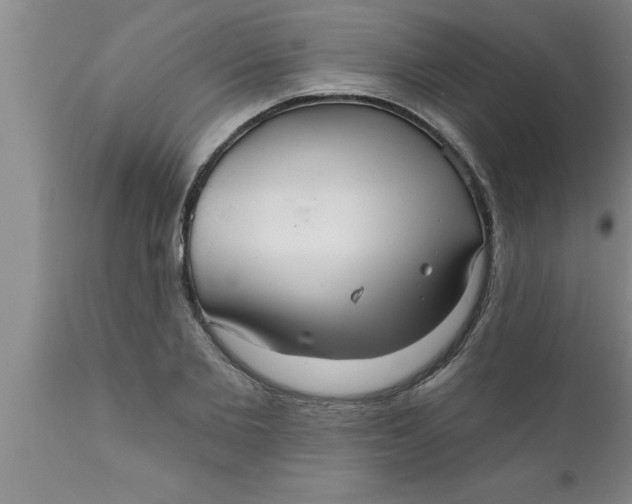 X0000111160885200907211224