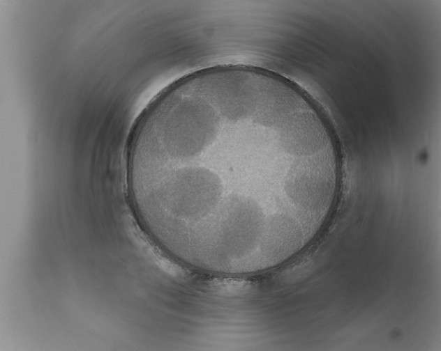 X0000111160886200907211224