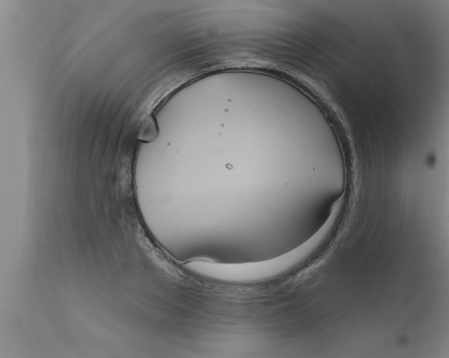 X0000111160889200907211224