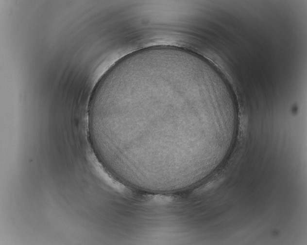 X0000111160890200907211224