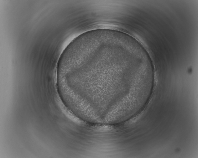 X0000111160891200907211224